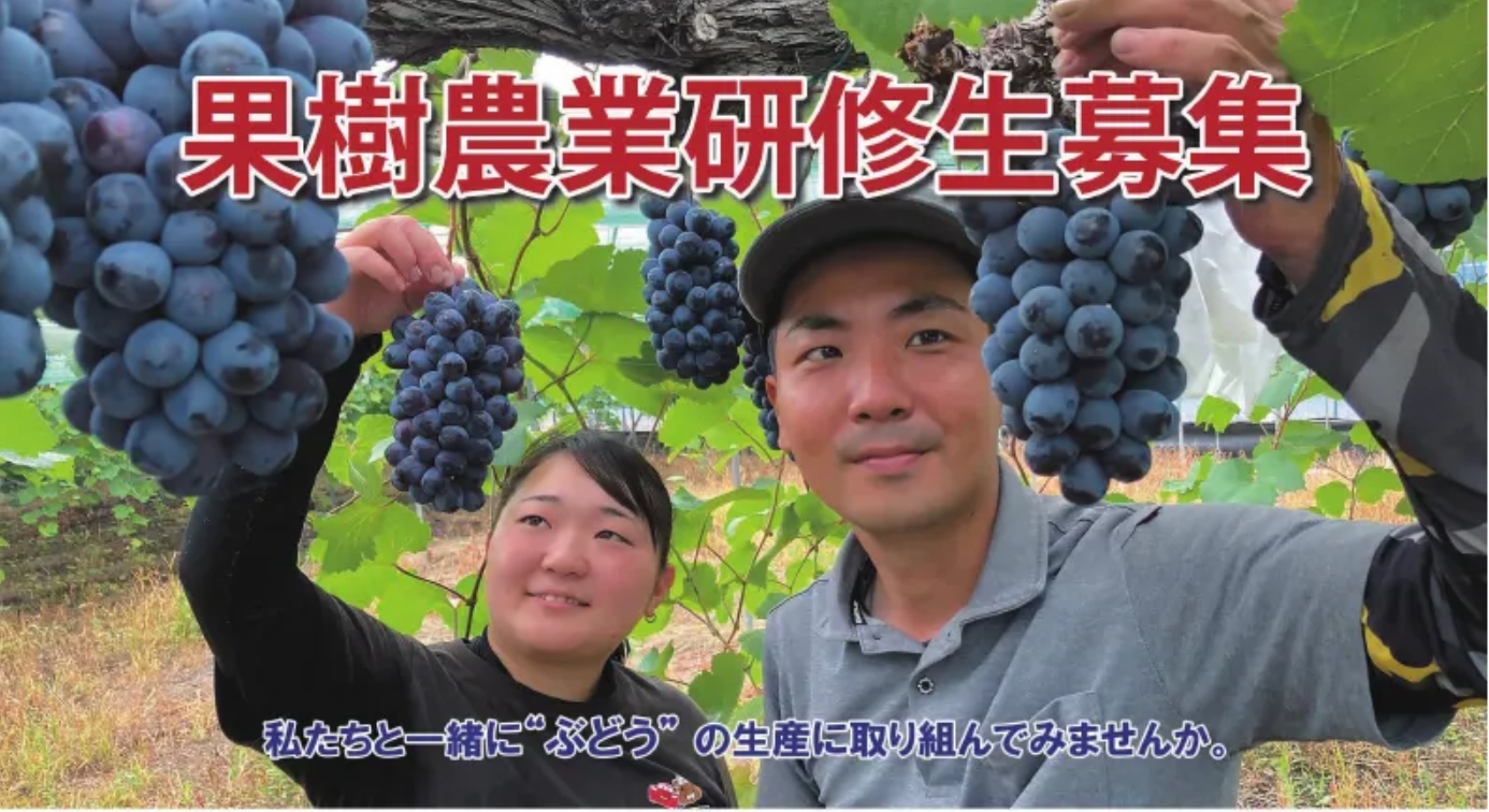 【JA福山市】果樹農業研修生募集のご案内