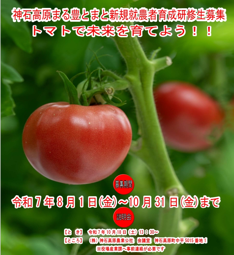 【神石高原町】神石高原まる豊とまと新規就農研修生を募集します！
