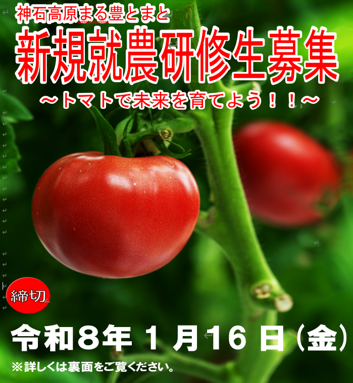 【神石高原町】神石高原まる豊とまと新規就農研修生を募集します！
