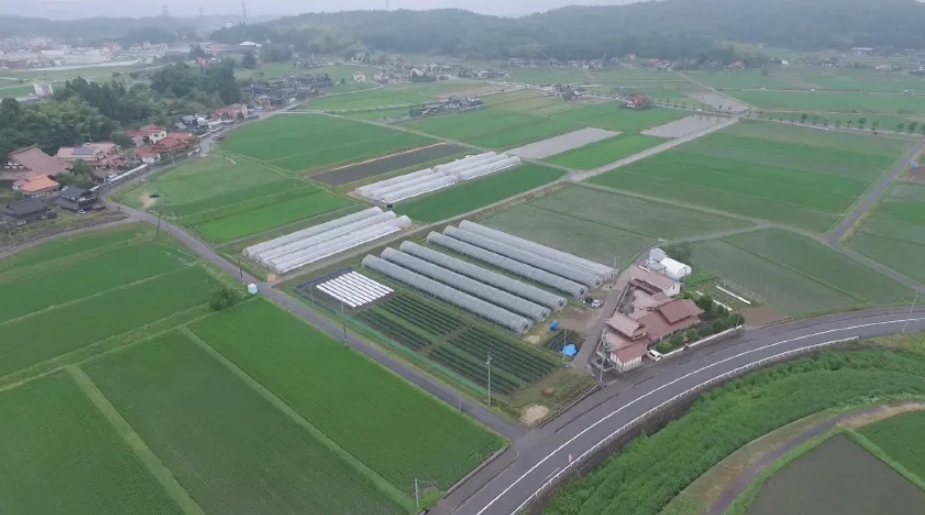 【三次市】令和８年度　㈱ＪＡアグリ三次　農業研修生募集（募集期間延長）！！