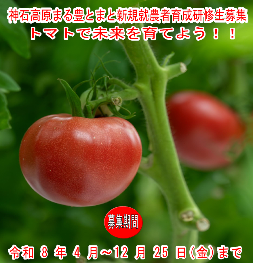 【神石高原町】神石高原町まる豊とまと新規就農者育成研修事業令和９年度研修生募集！！