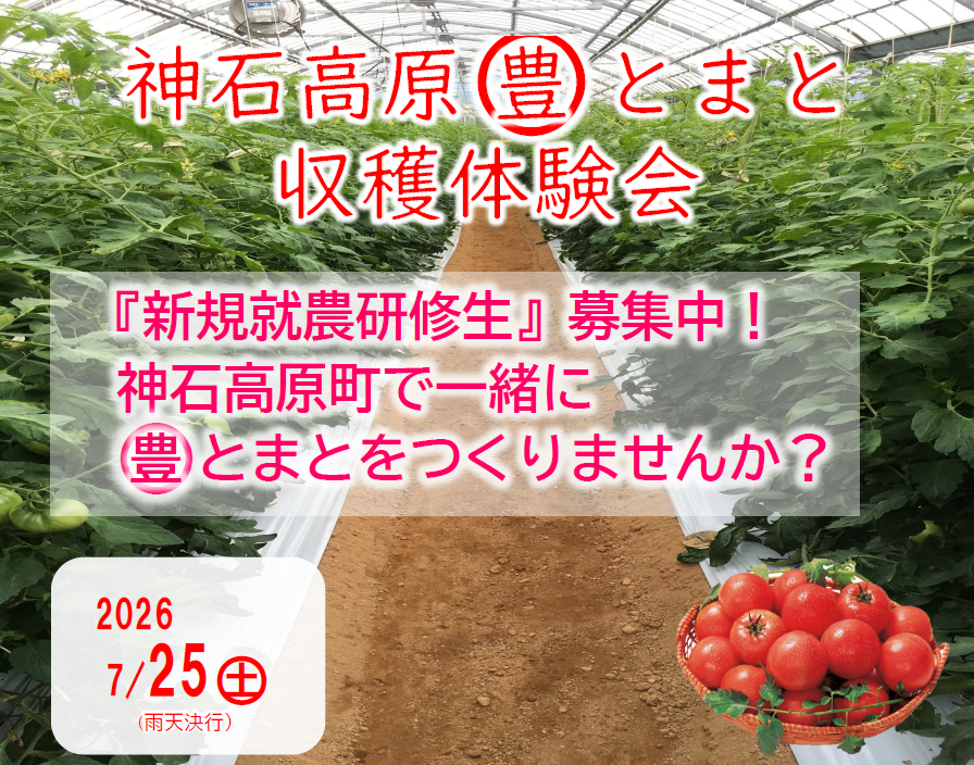 【神石高原町】令和８年度　神石高原まる豊とまと収穫体験会を開催します！