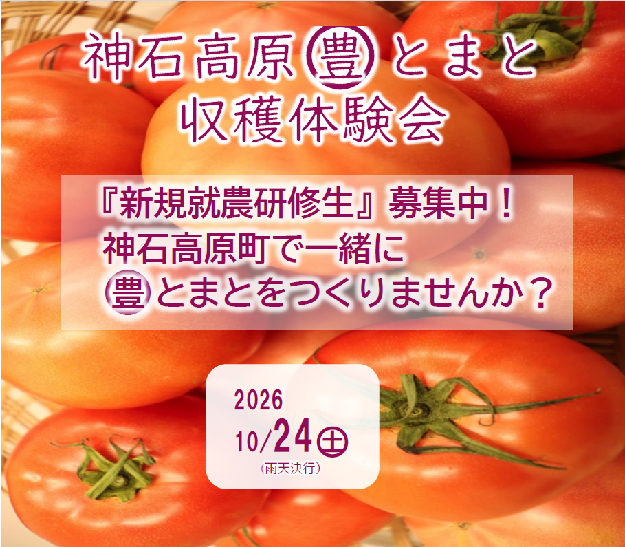 【神石高原町】神石高原まる豊とまと収穫体験会を開催します！